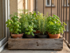 Balcony Microgreens planter kit on window sill